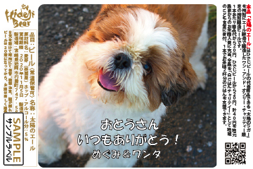 サンプル